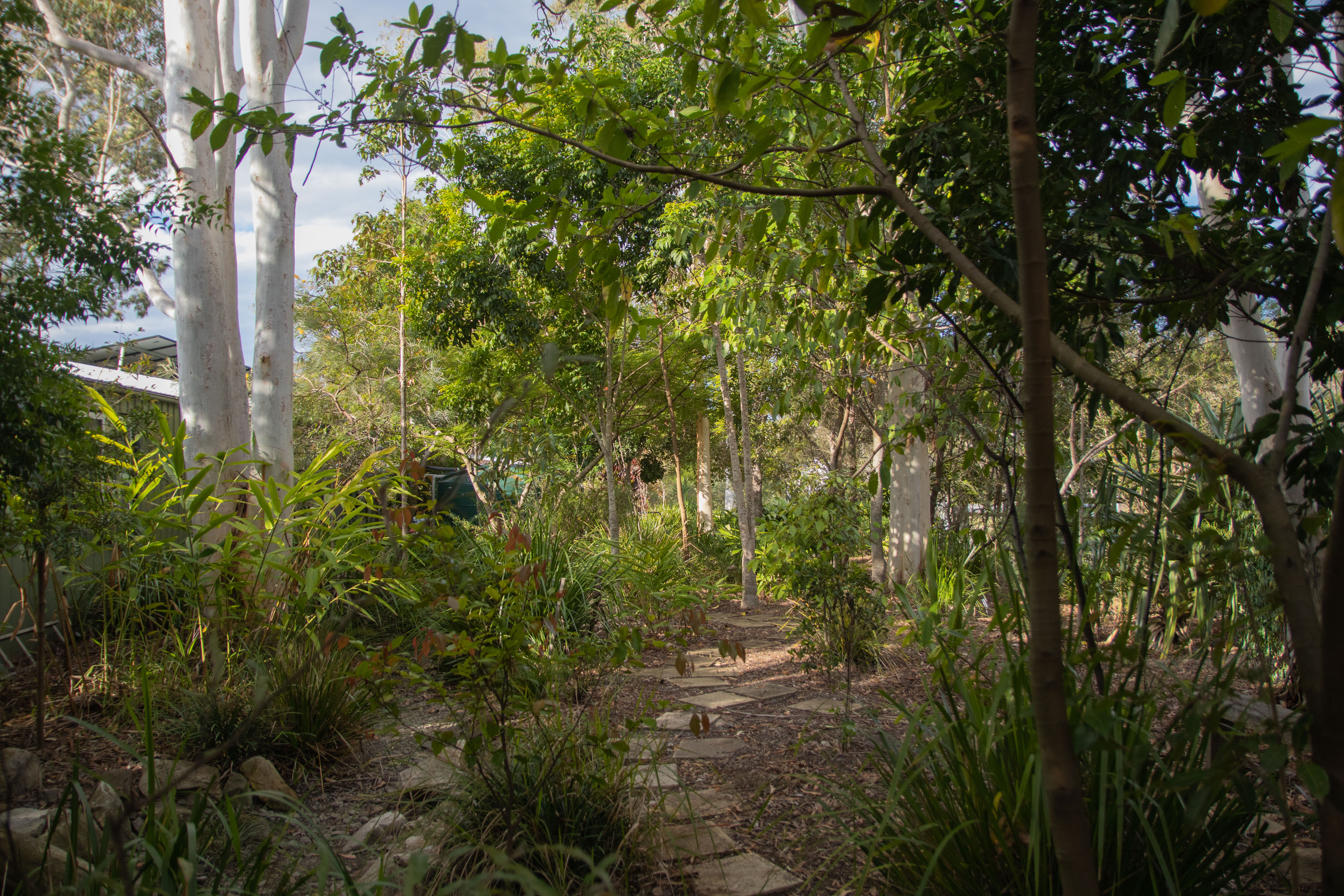 Bush Tucker Gardens