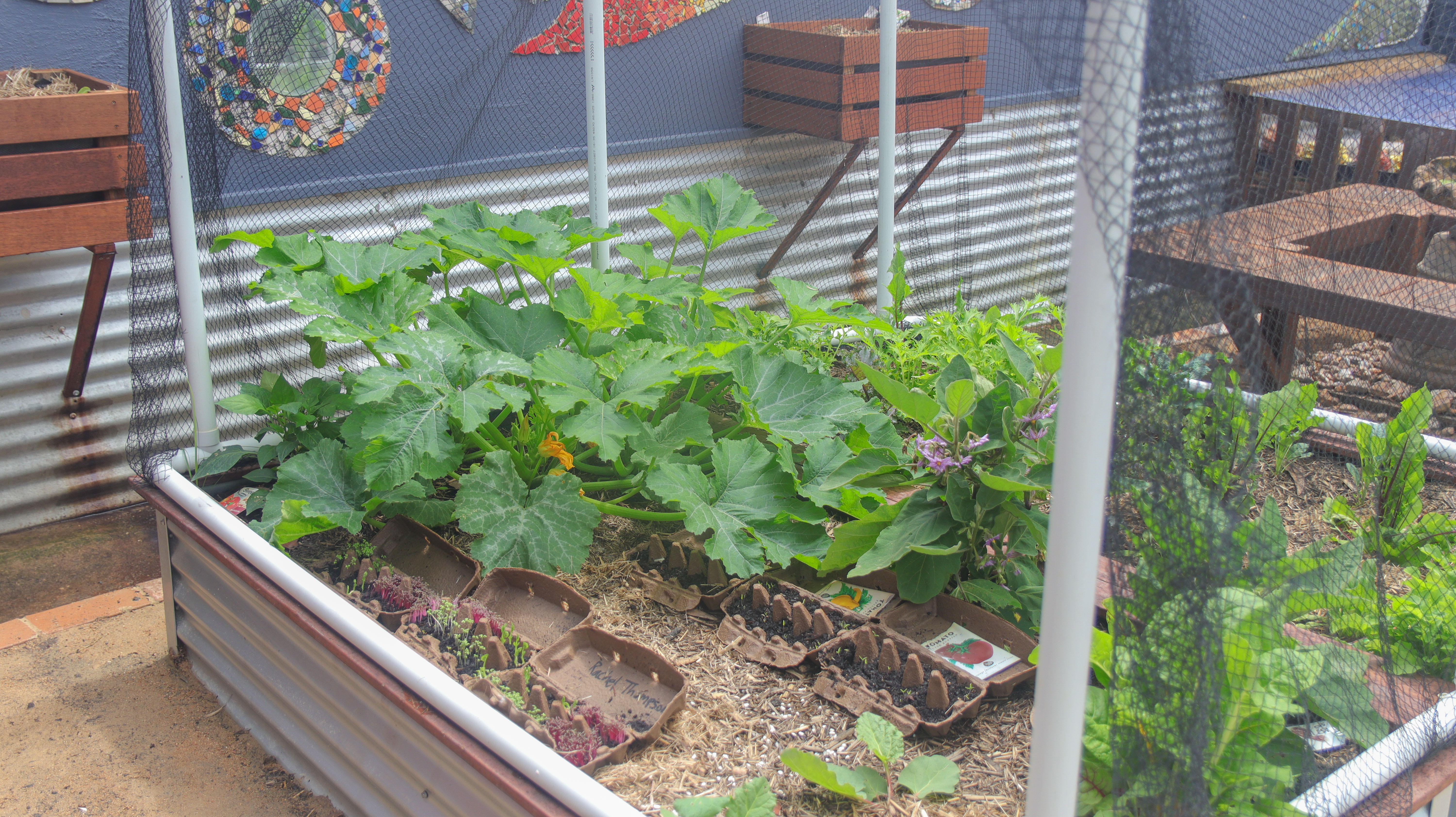 Learning Garden Kitchen