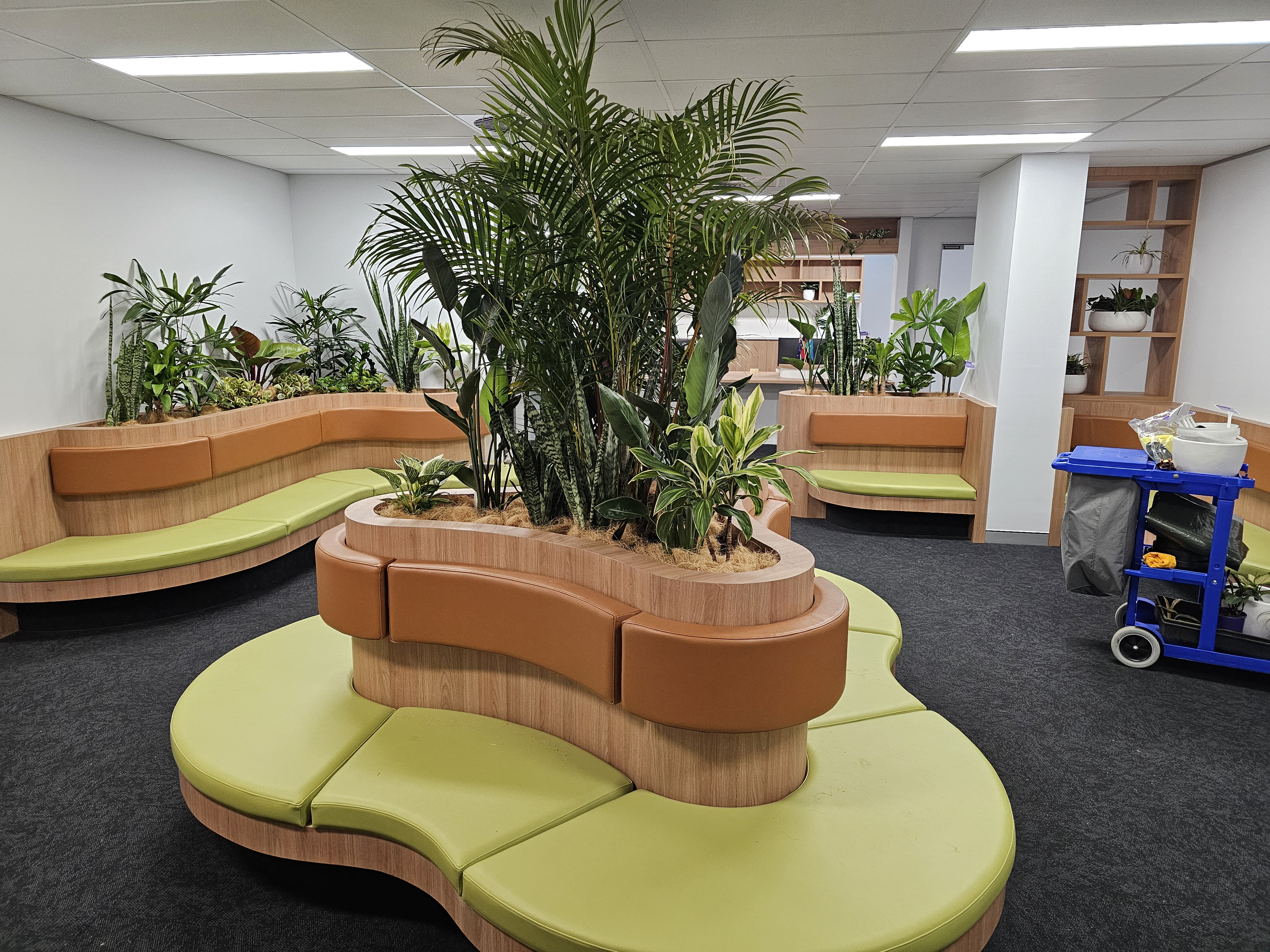 Indoor Plant Hire